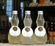 画像3: 早瀬浦　特別純米酒 うらうら　300ml (3)