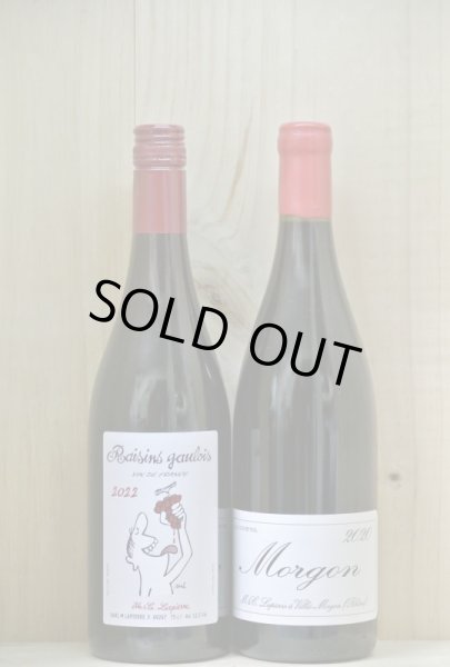 画像2: 【2020】モルゴン　サンスフル　マルセル・ラピエール (2)