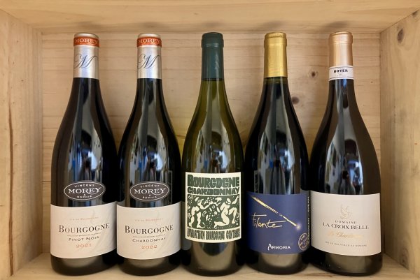 画像2: 【2022】ドメーヌ・アルモリア　フィラントゥ (2)